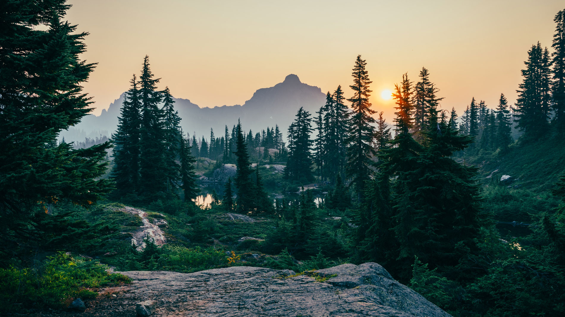 sergei-akulich-heLWtuAN3c-unsplash2.jpg